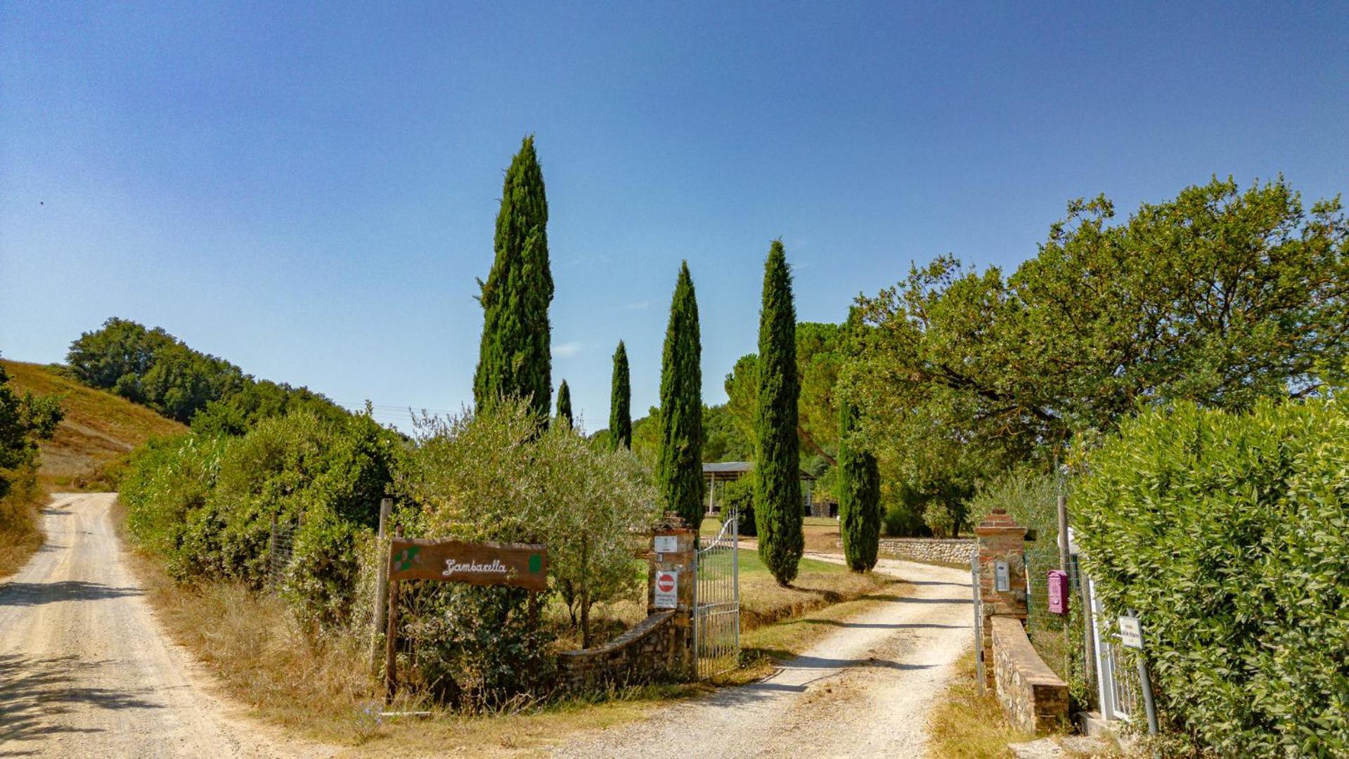 Appartement Ulivo-Chianti Charming Flat With Private Parking! à Asciano Extérieur photo
